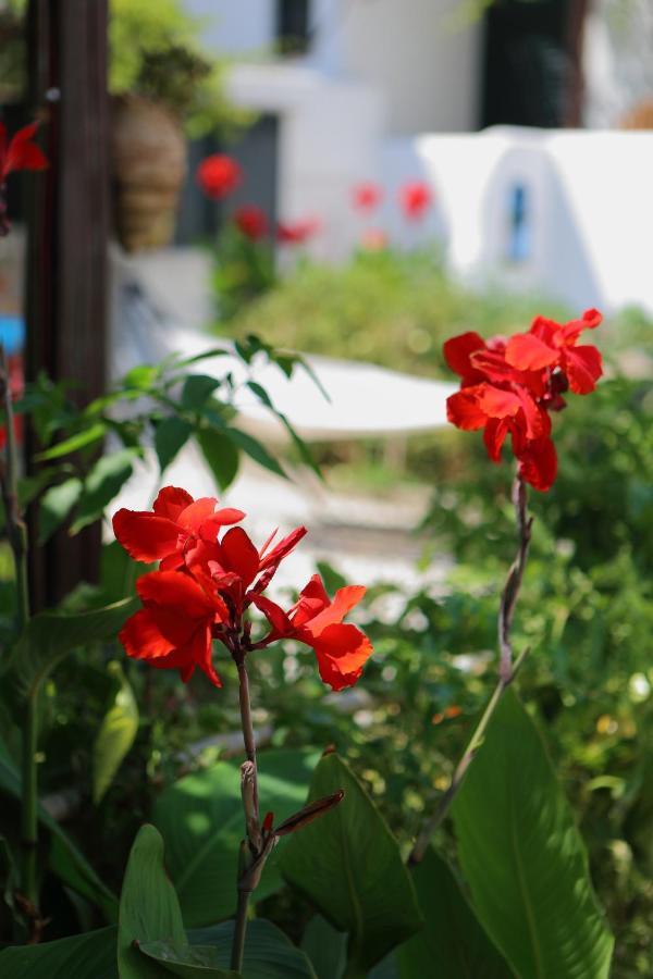 Eleni Dream Village Privatunterkunft *