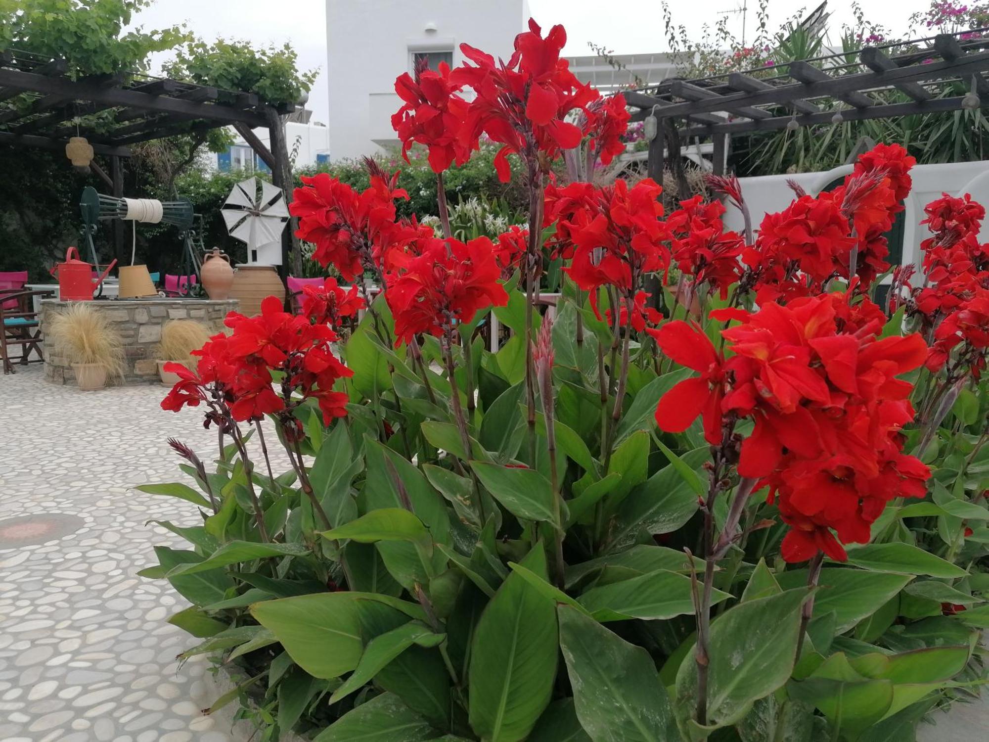 Eleni Dream Village
